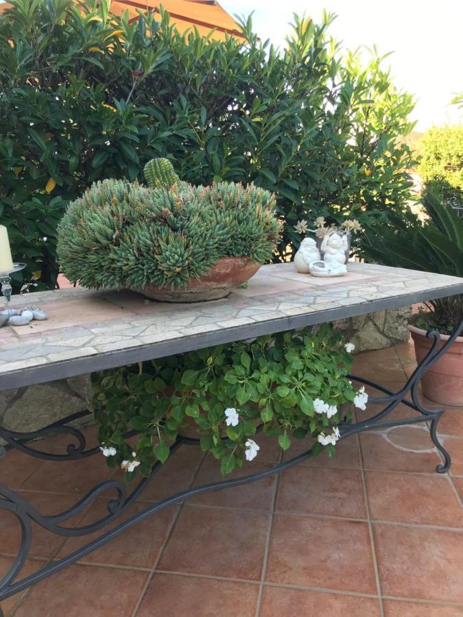 Standard Double Room,1020499894:JPEG