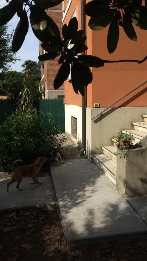 Deluxe Double Room,1095320136:JPEG