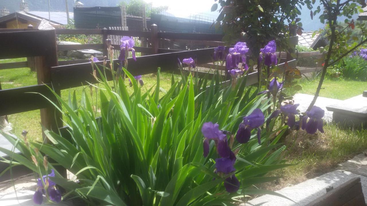 Appartamento con 1 Camera da Letto e Vista Giardino