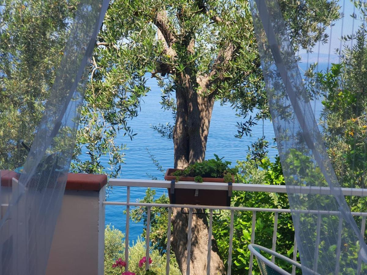 Family Junior Suite,1648971568:JPEG