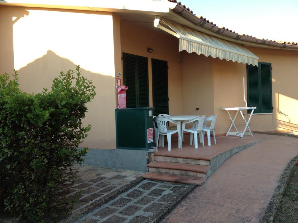 One-Bedroom Apartment Disability Access,449723481:JPEG