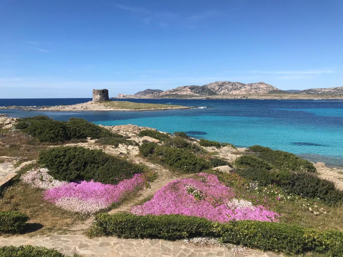 Camera Familiare con Vista Mare
