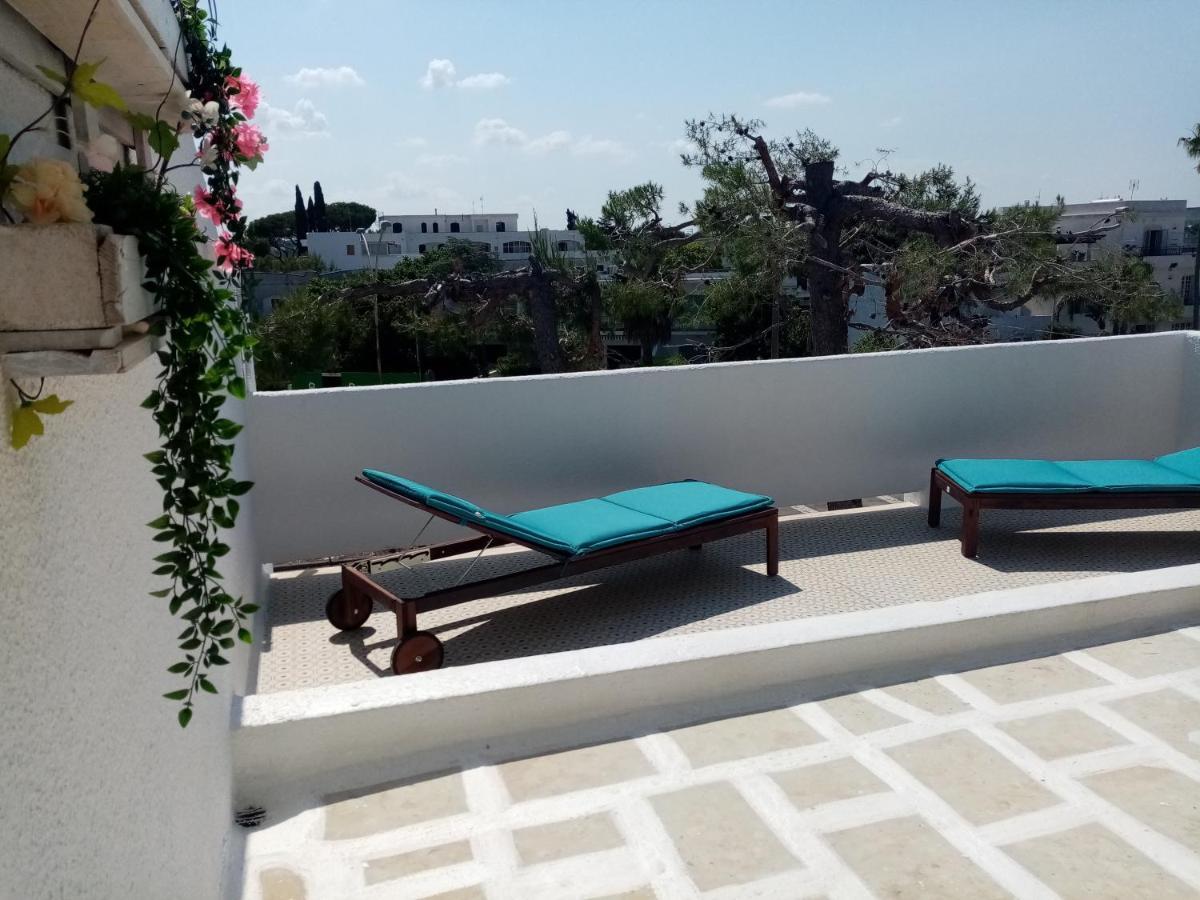 Studio Terrace