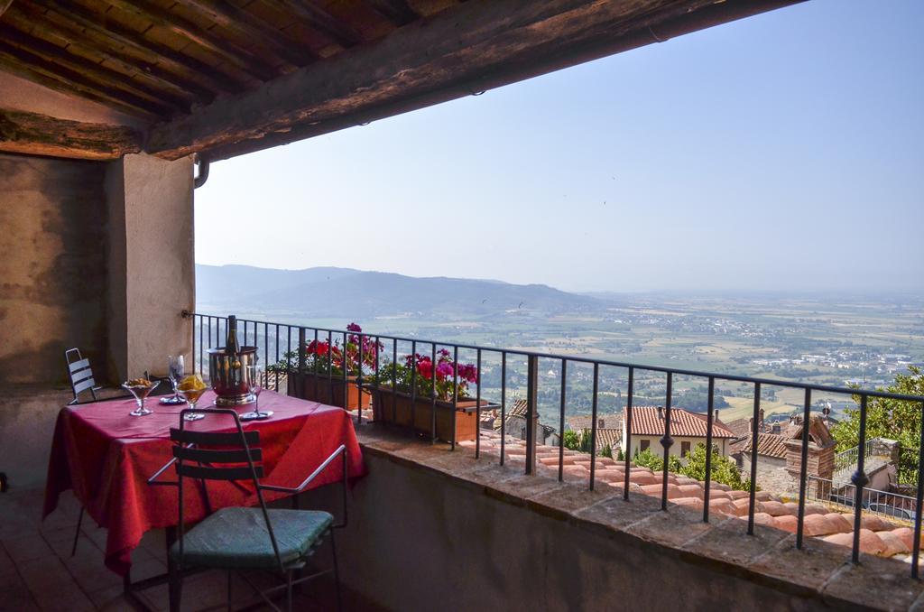 Suite with Terrace