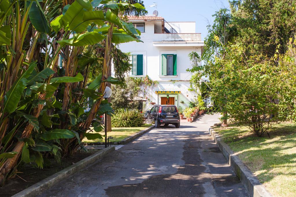Double Room with Garden View