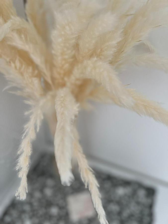 Superior Triple Room with Sea View,1415385018:JPEG