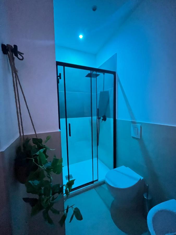 Apartament typu studio