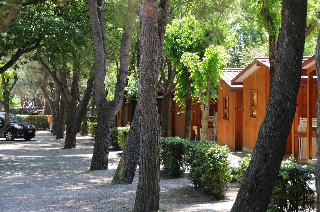 Bungalow (2 Adults),177396918:JPEG