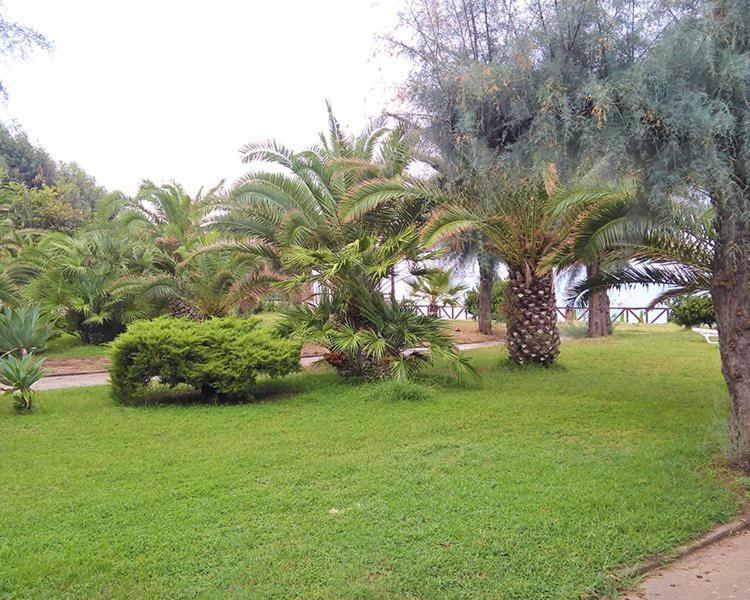 Basic Triple Room,1687467400:JPEG