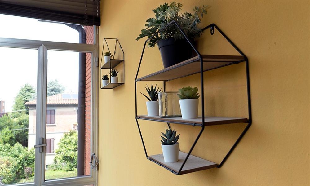 Quarto Duplo Standard