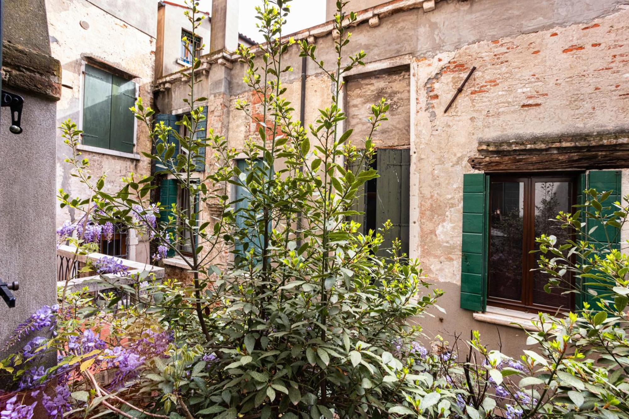 Superior Double Room Terrace