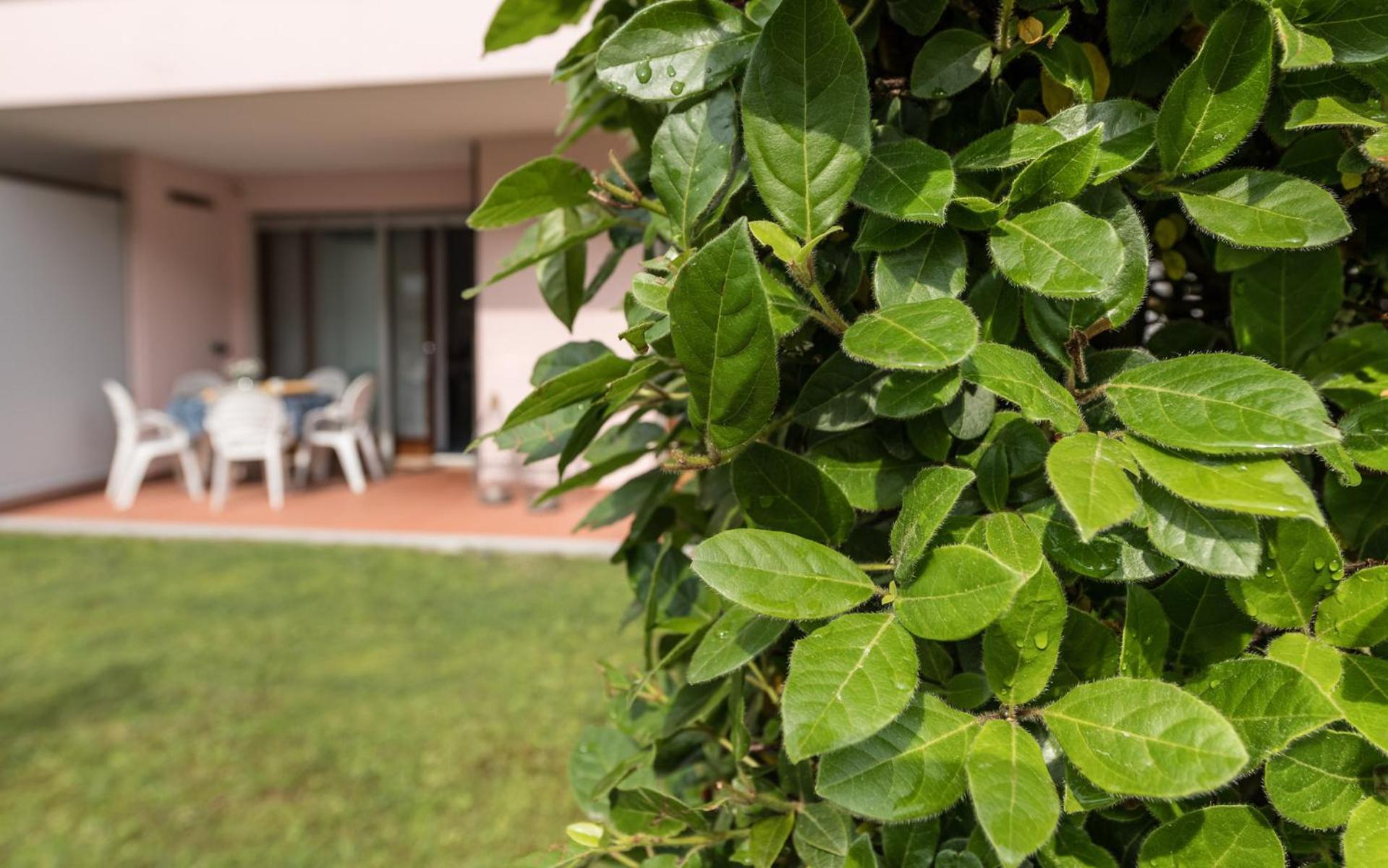 Apartament z 1 sypialnią i ogrodem (5 osób dorosłych)