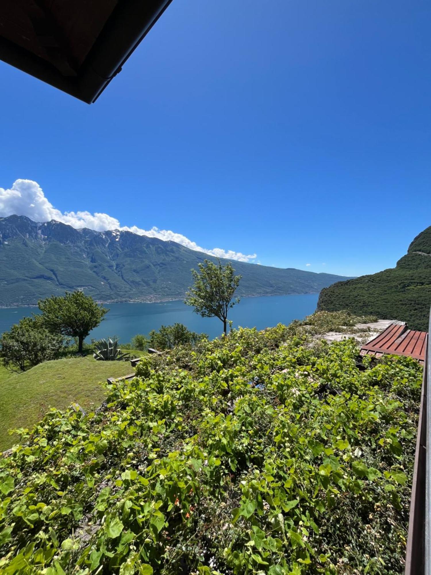 Superior Double Room Balcony Lake View