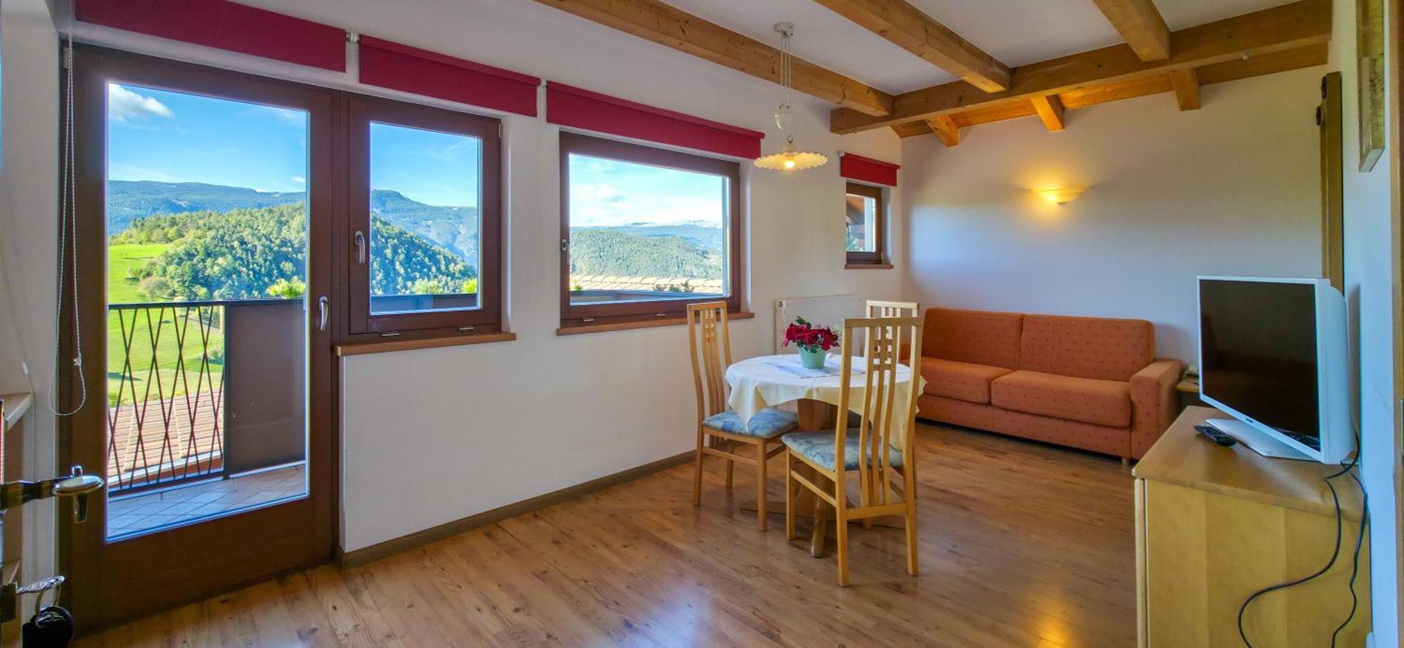 One-Bedroom Apartment Balcony Mountain View