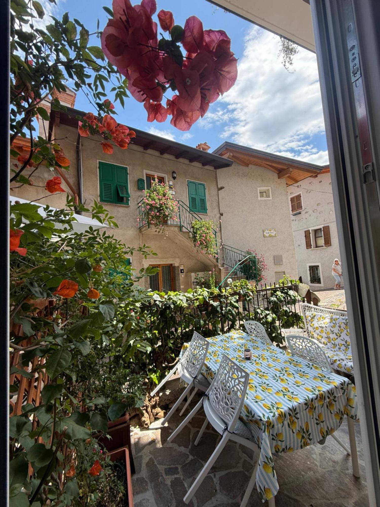 Quadruple Room Terrace