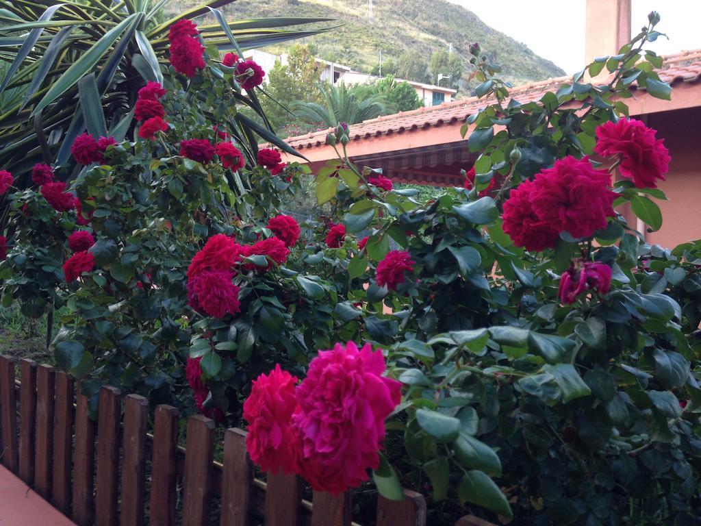 Superior Double Room with Terrace,248985161:JPEG