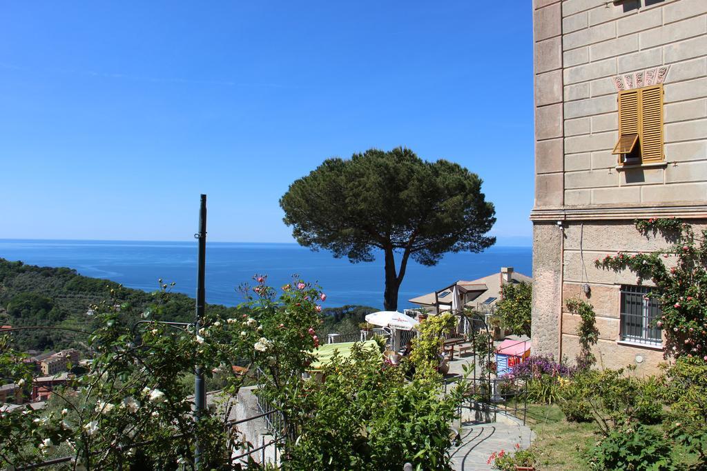 Double Room Sea View,256671681:JPEG