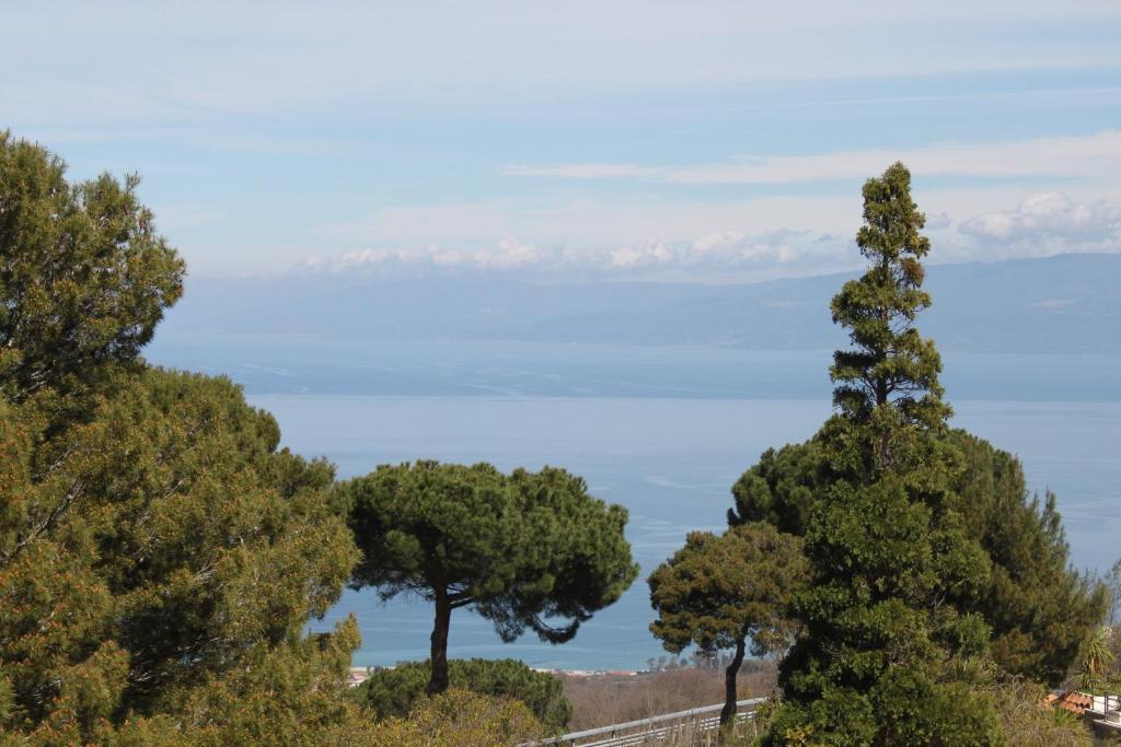 Superior Single Room,28028936:JPEG