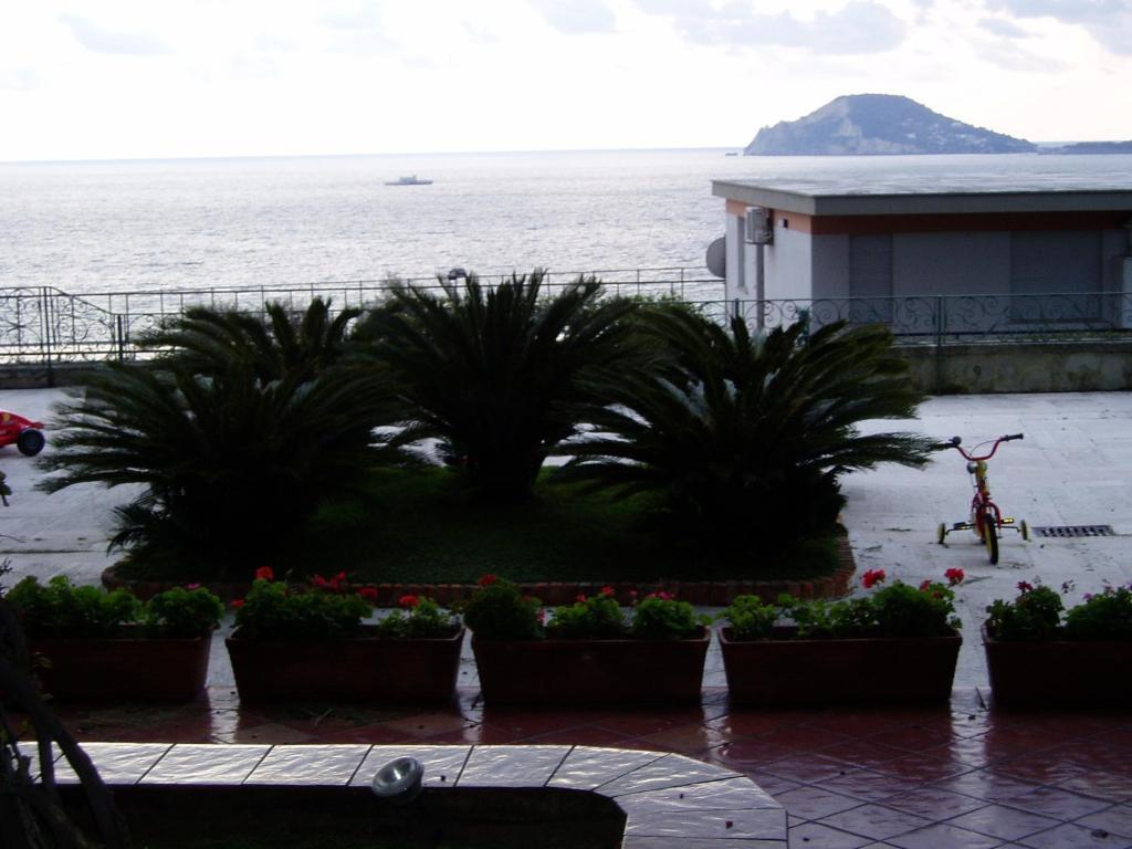 Appartamento Panoramic