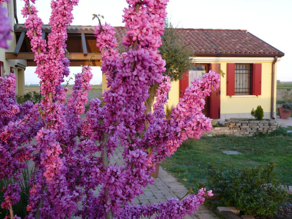 Camera Familiare con Vista Giardino