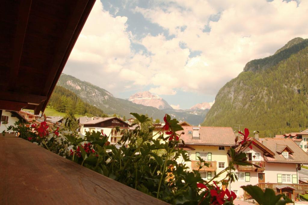 Double or Twin Room Mountain View