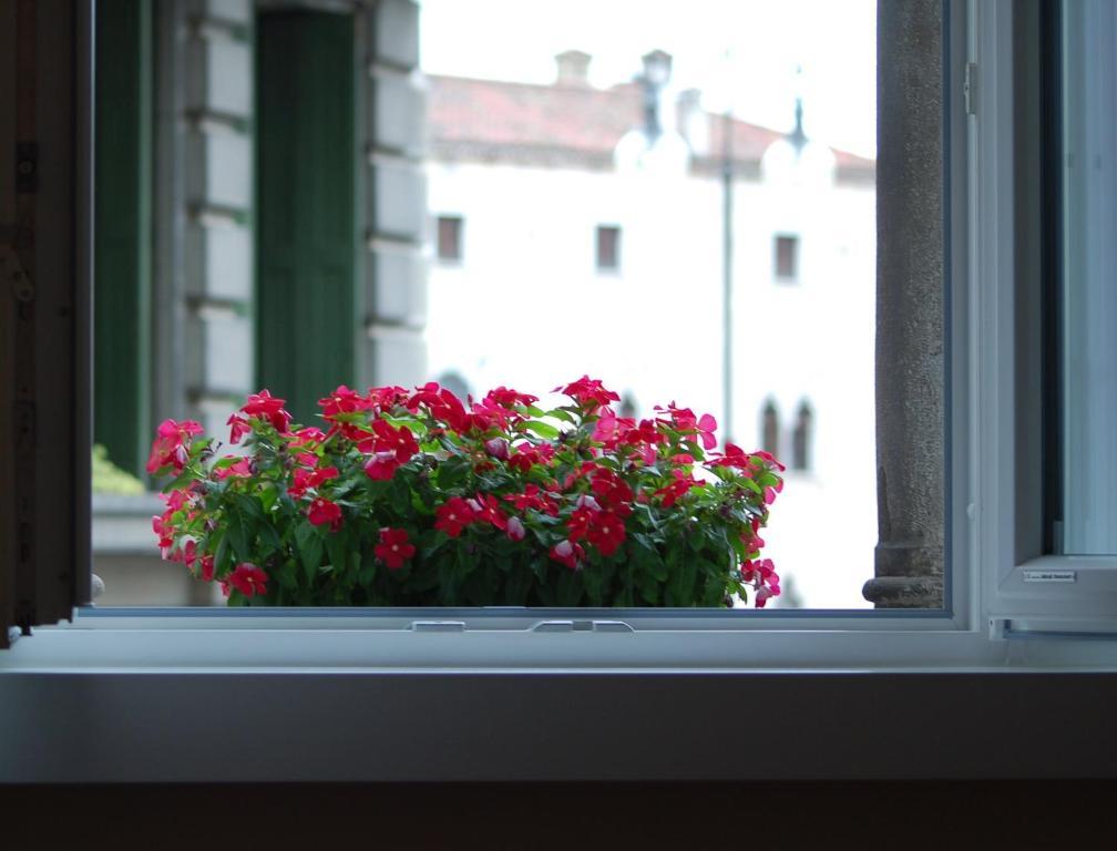 Superior Single Room,65832310:JPEG