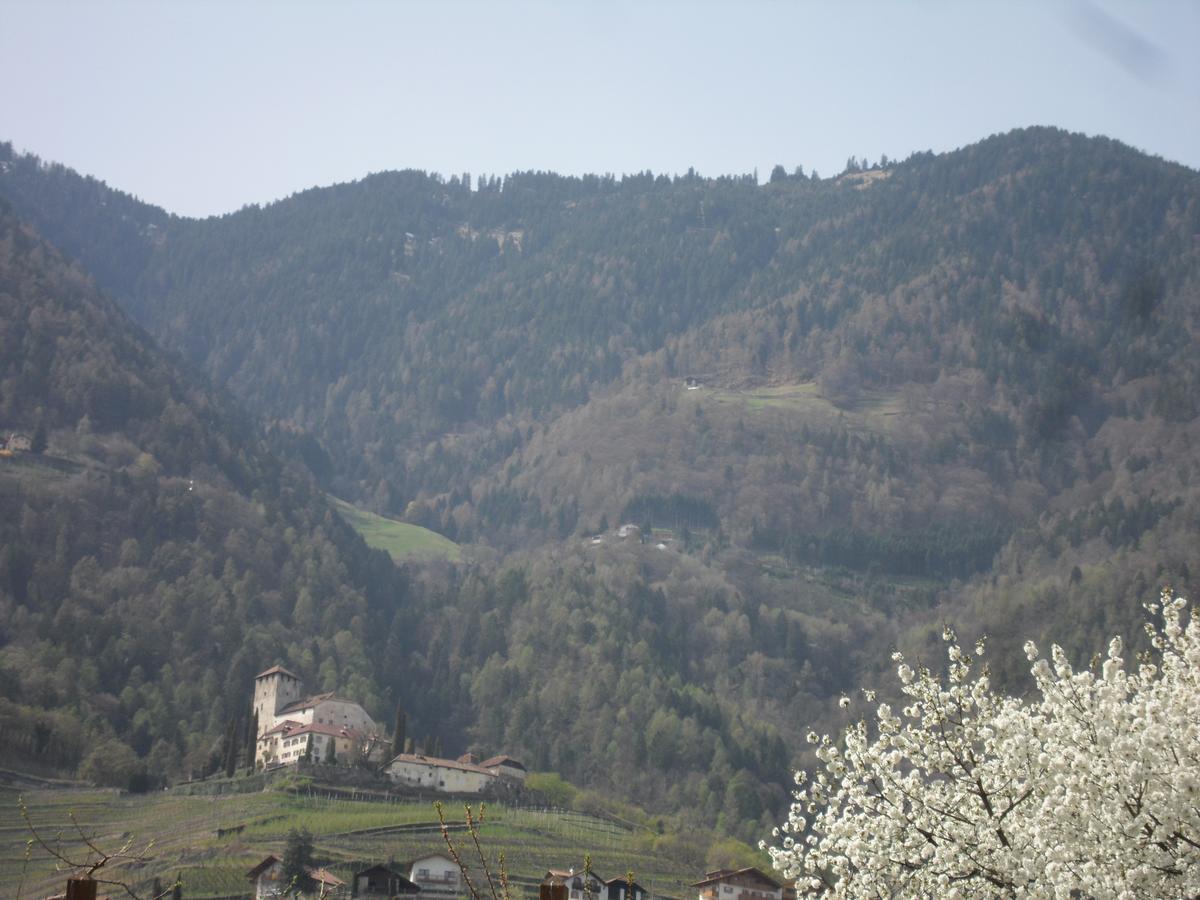 Junior Suite mit Terrasse