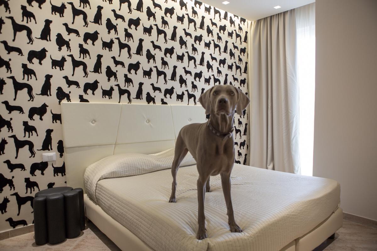 Double or Twin Room Pet,630342375:JPEG