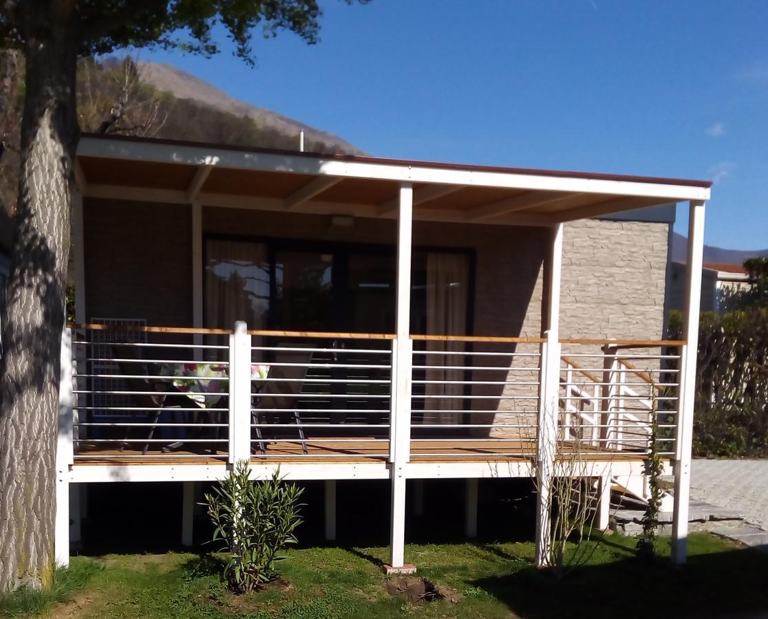 Mobile Home