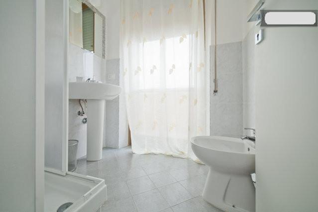 Quarto Grande com Cama de Casal ou 2 de Solteiro