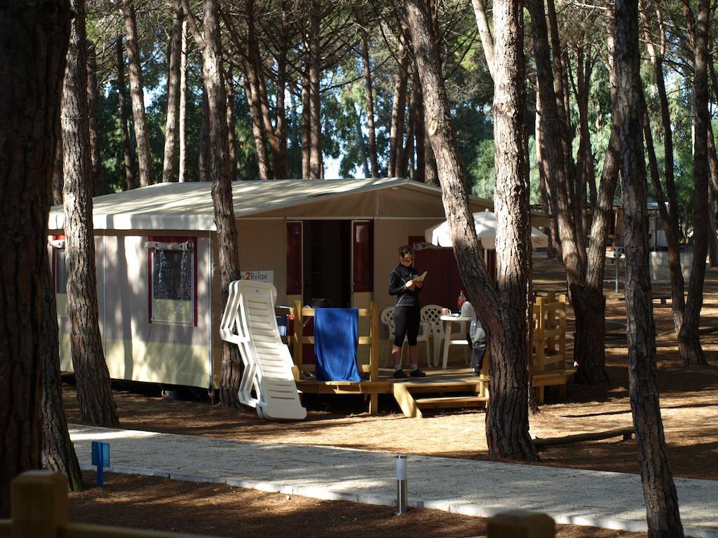 Lodge tent,69111083:JPEG