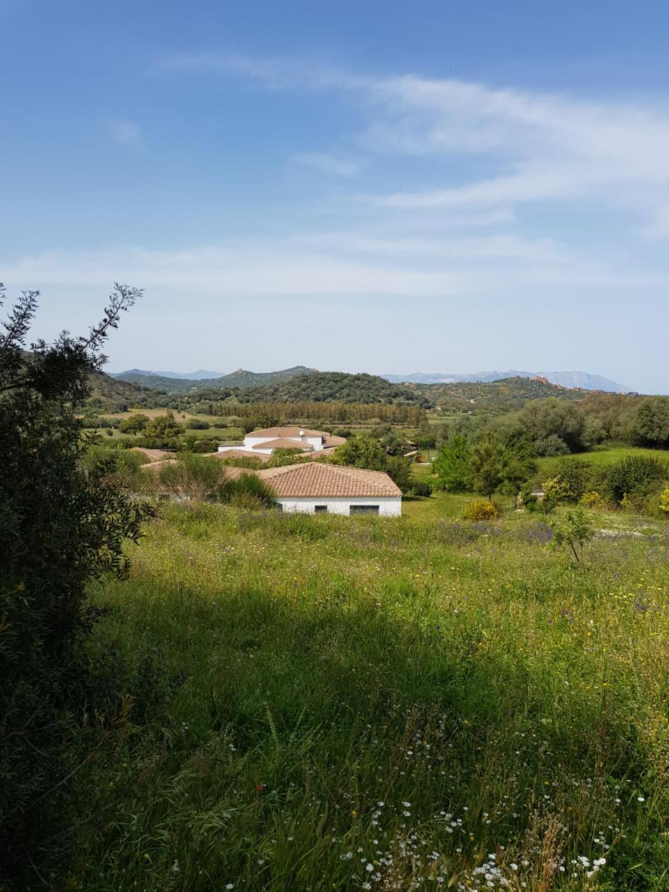 Two-Bedroom Apartment,1413884219:JPEG