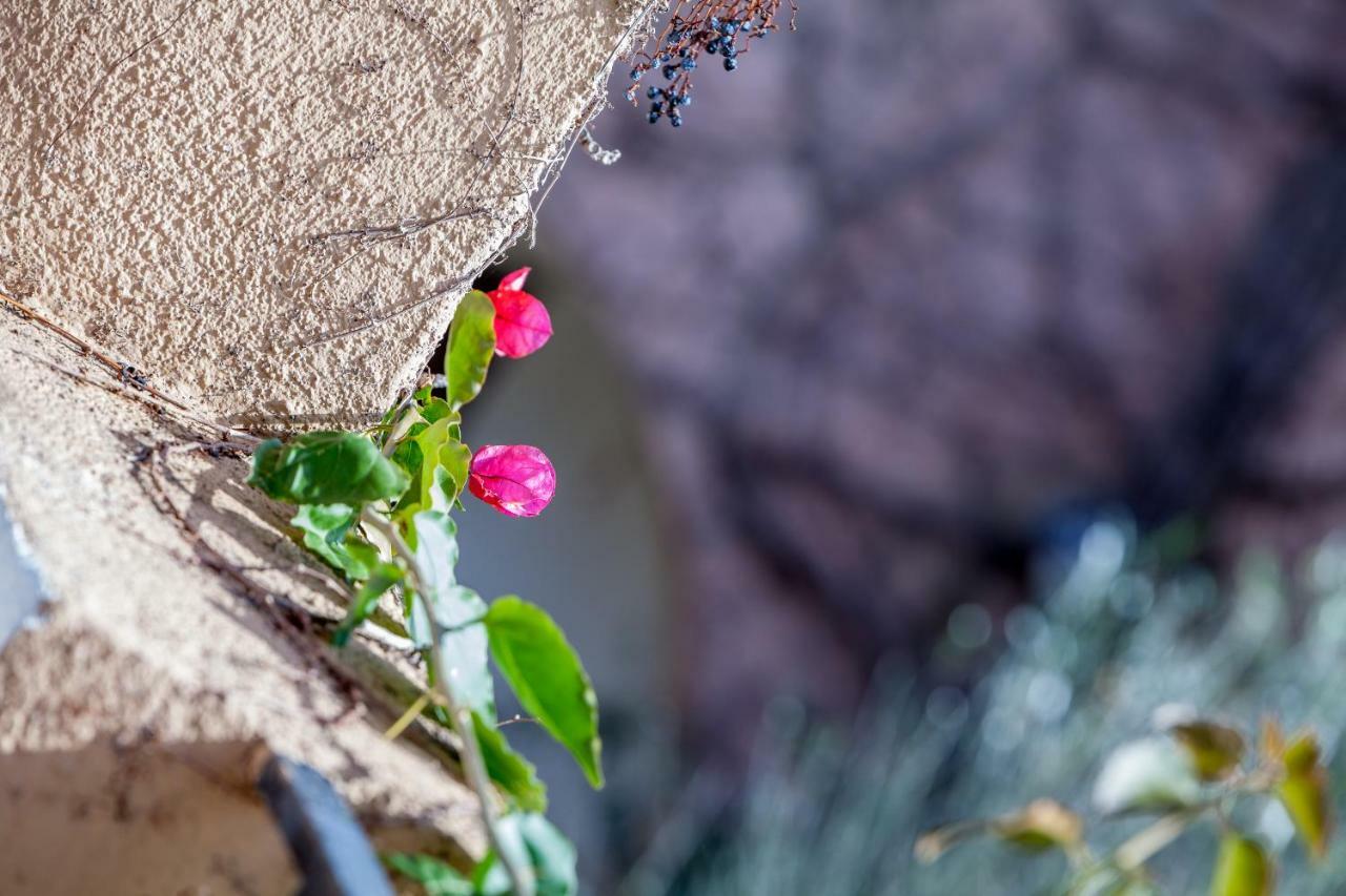 Superior Two-Bedroom Apartment - Split Level,1537434472:JPEG