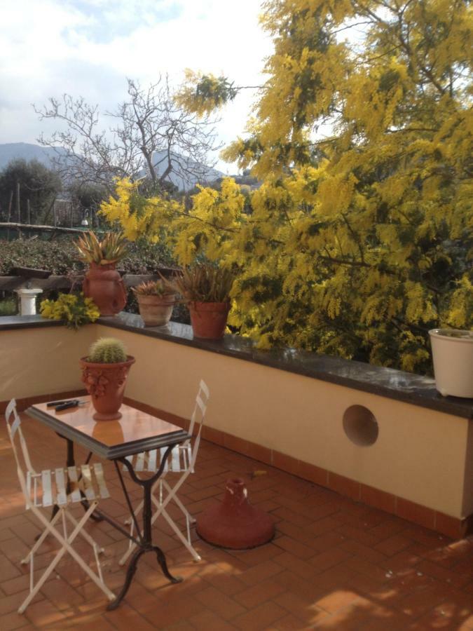 Deluxe Double or Twin Room,857371637:JPEG