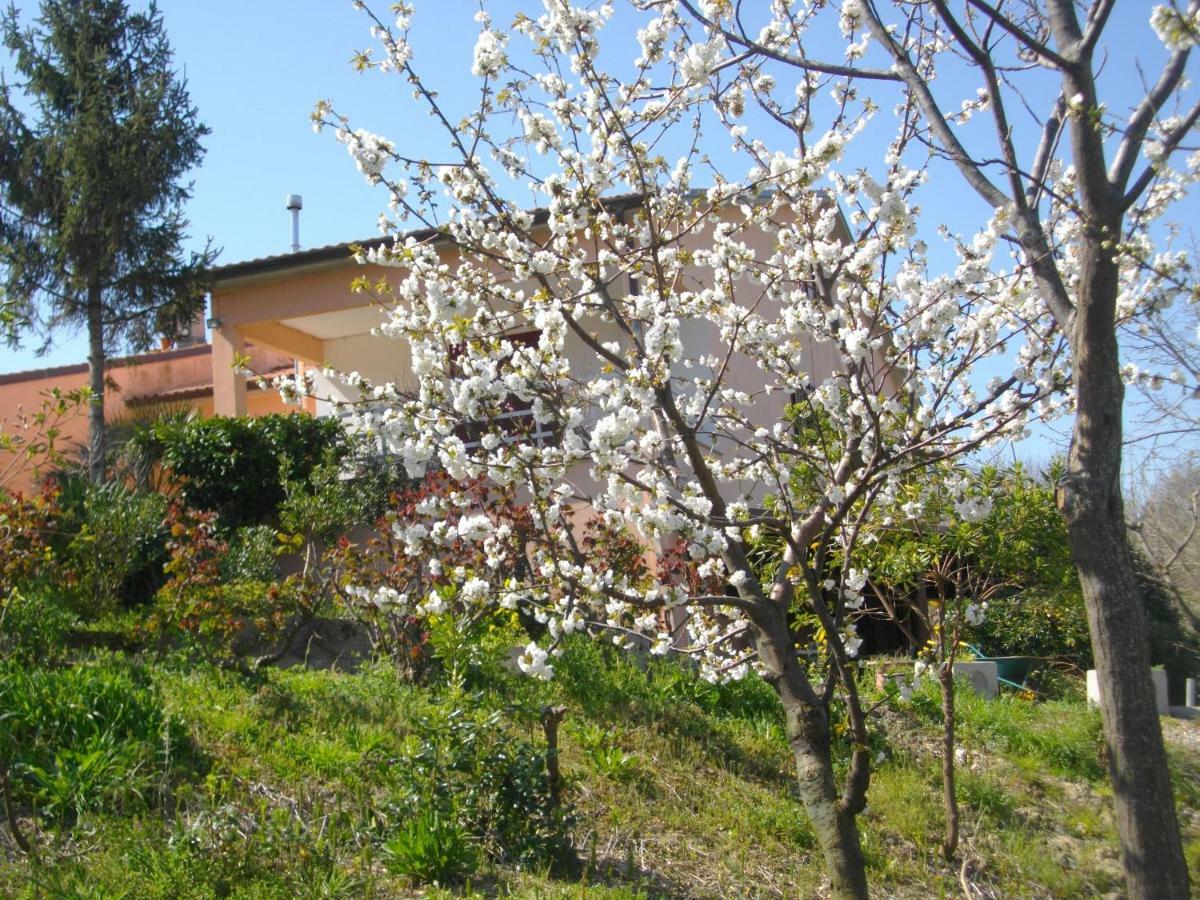 Appartamento