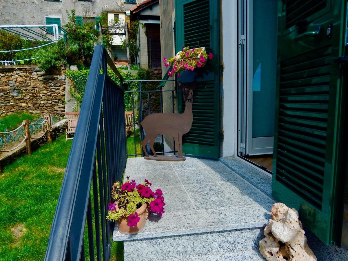 Junior Suite con Terrazza