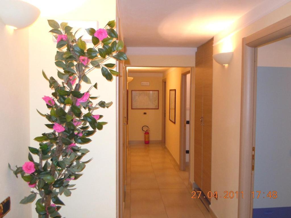 Single Room,9402773:JPEG