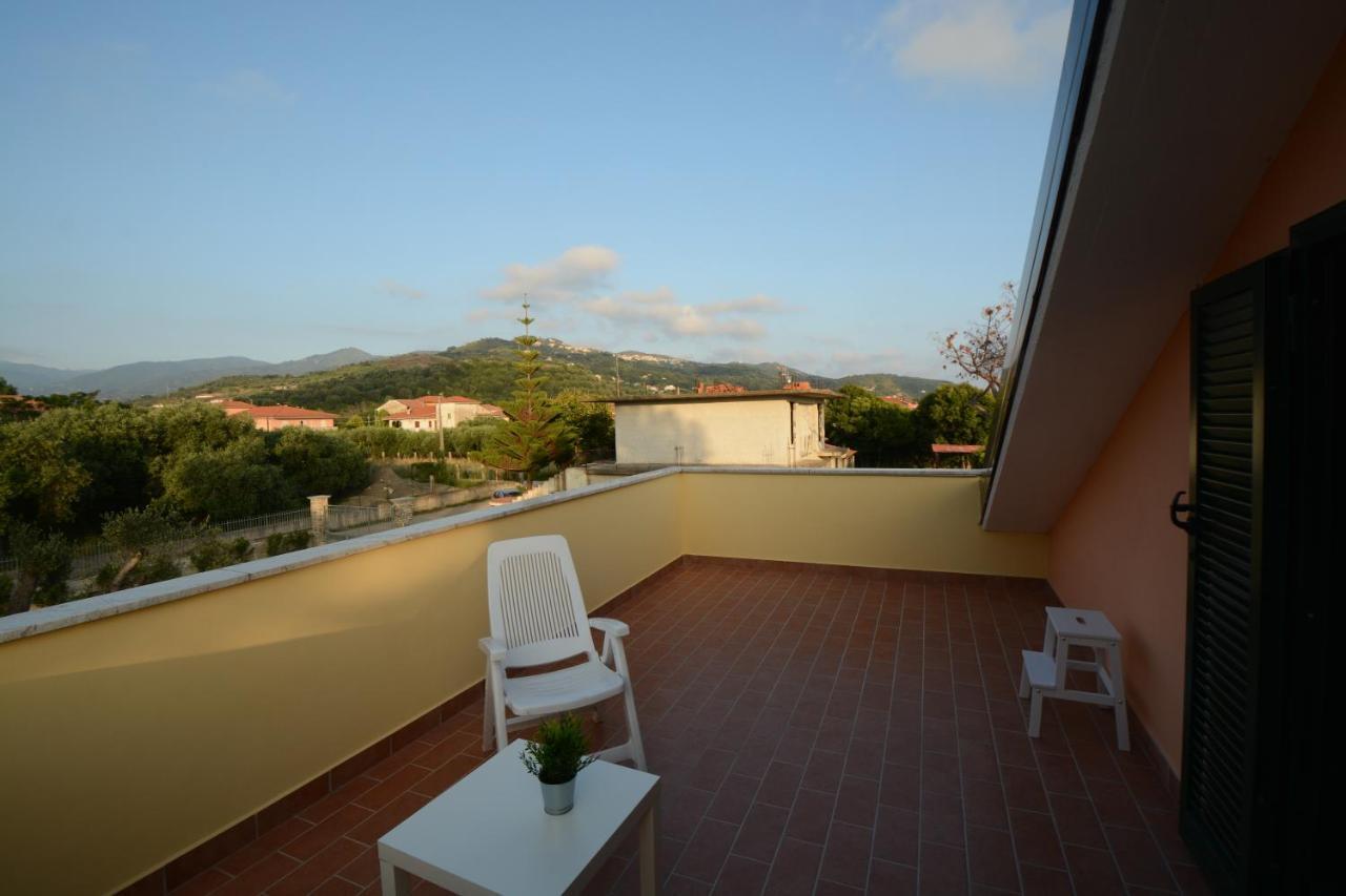 King Room with Garden View,953227522:JPEG
