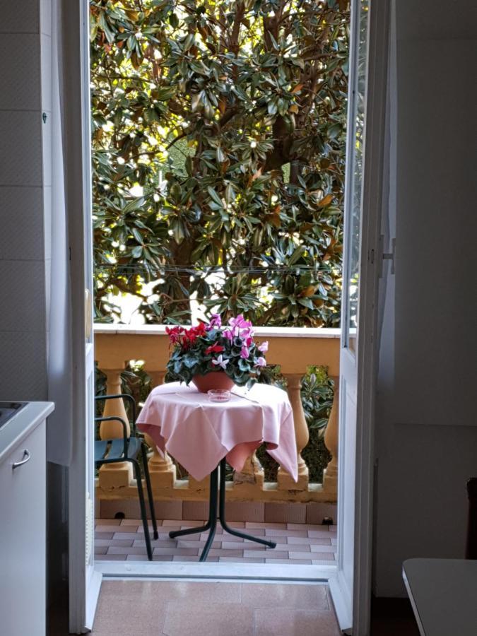 Studio Garden View,986658040:JPEG