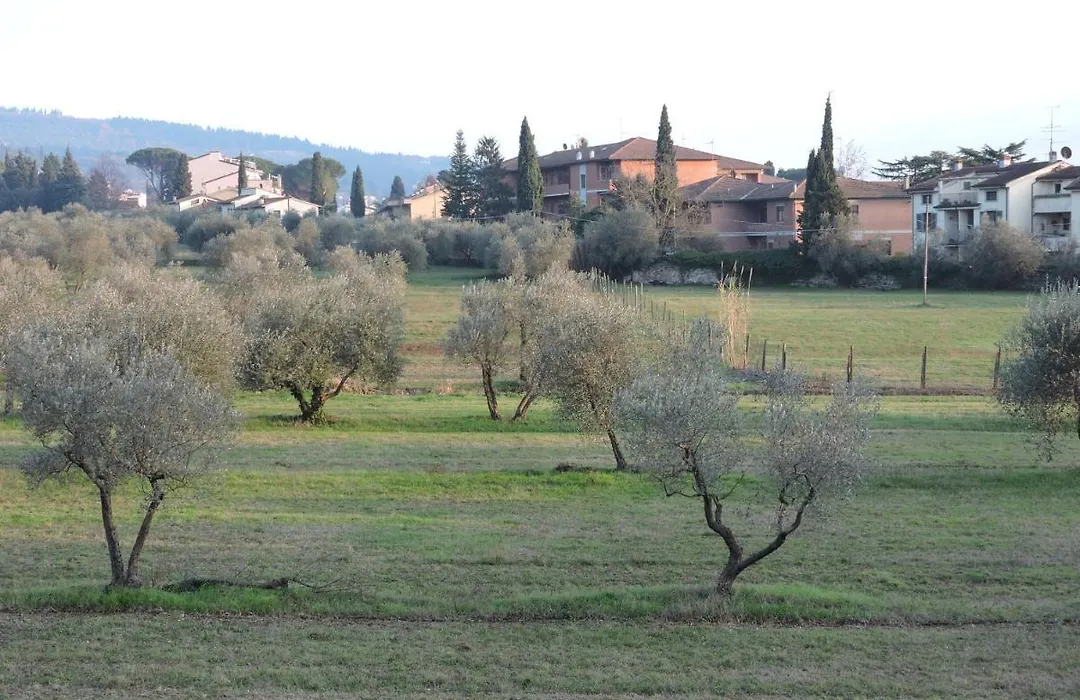 B&B Querceto-1