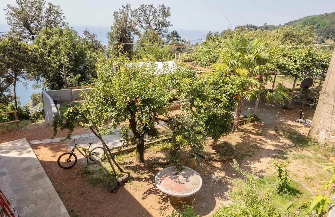 La Brigna B&B Il Bosco Sul Mare-1
