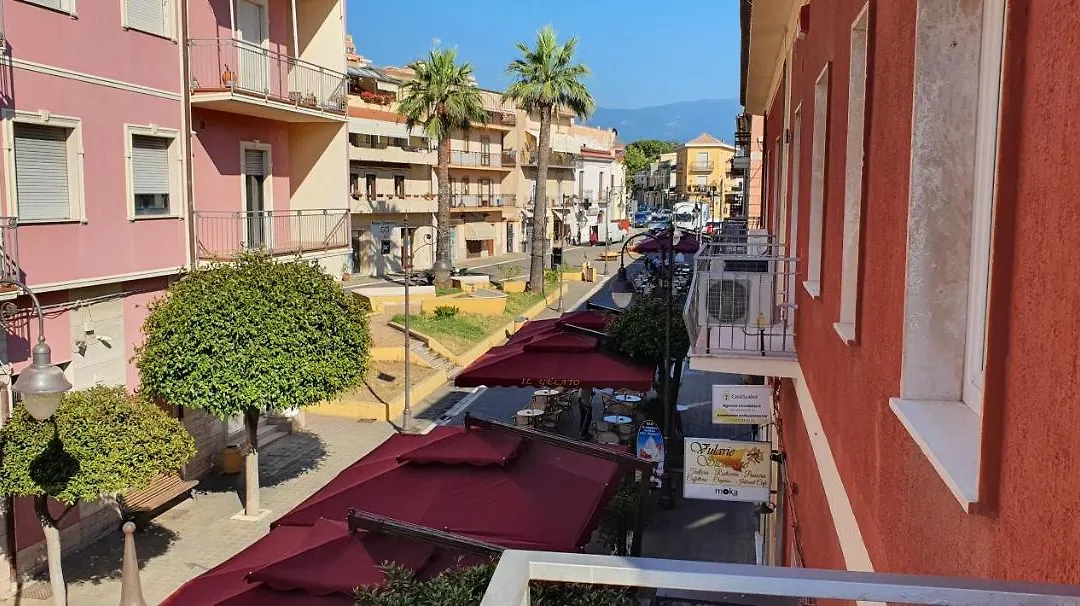 Incentroscalea B&B-1