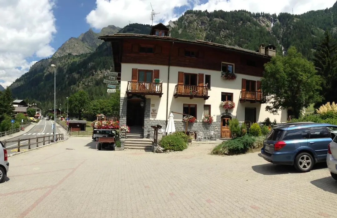 Hotel Flora Alpina-1