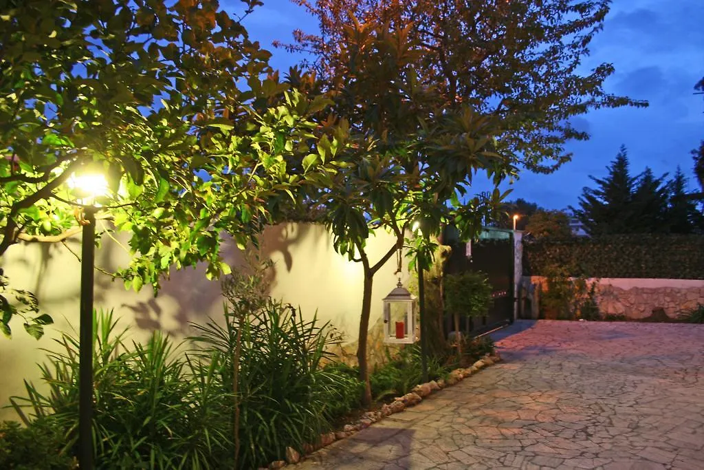 Fiumicino Airport B&B Deluxe-1