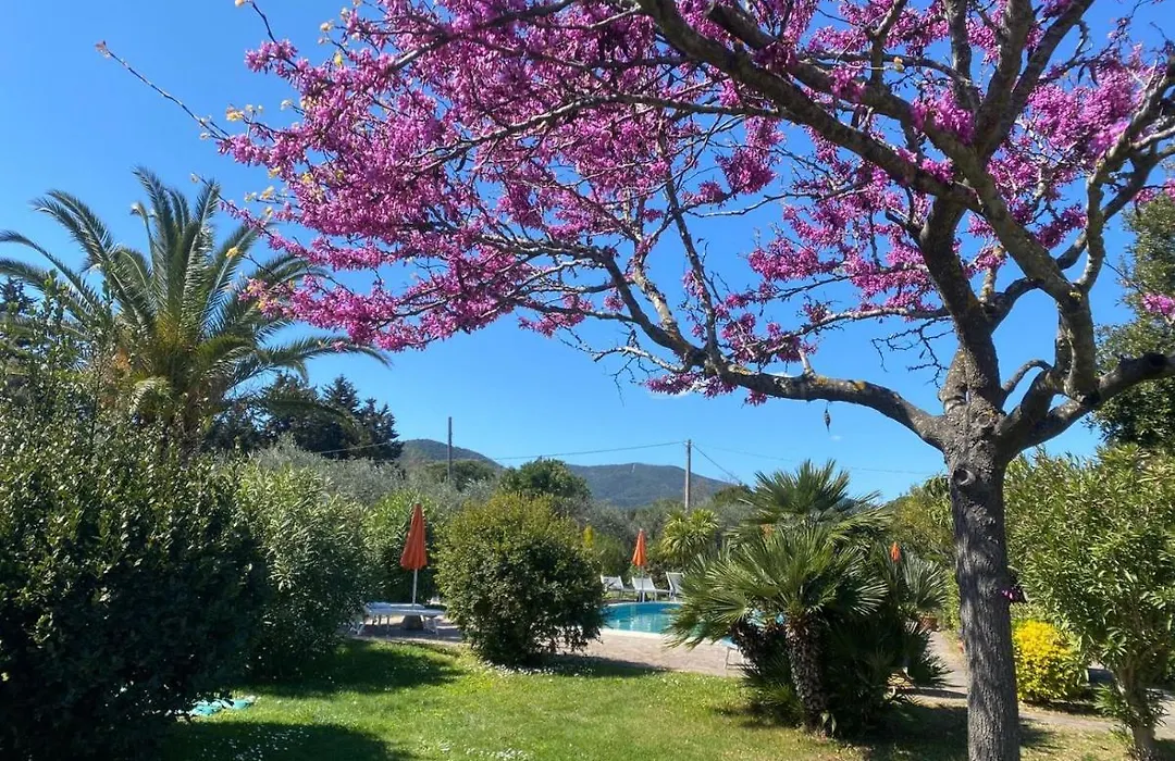 Casa Maremma-1