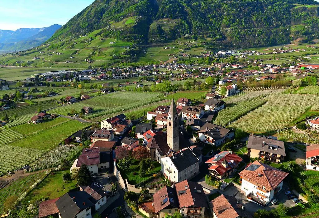 Pension Gasthof Loewen-1