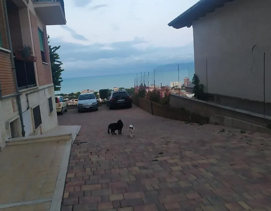 Terrazza sul Mare-1