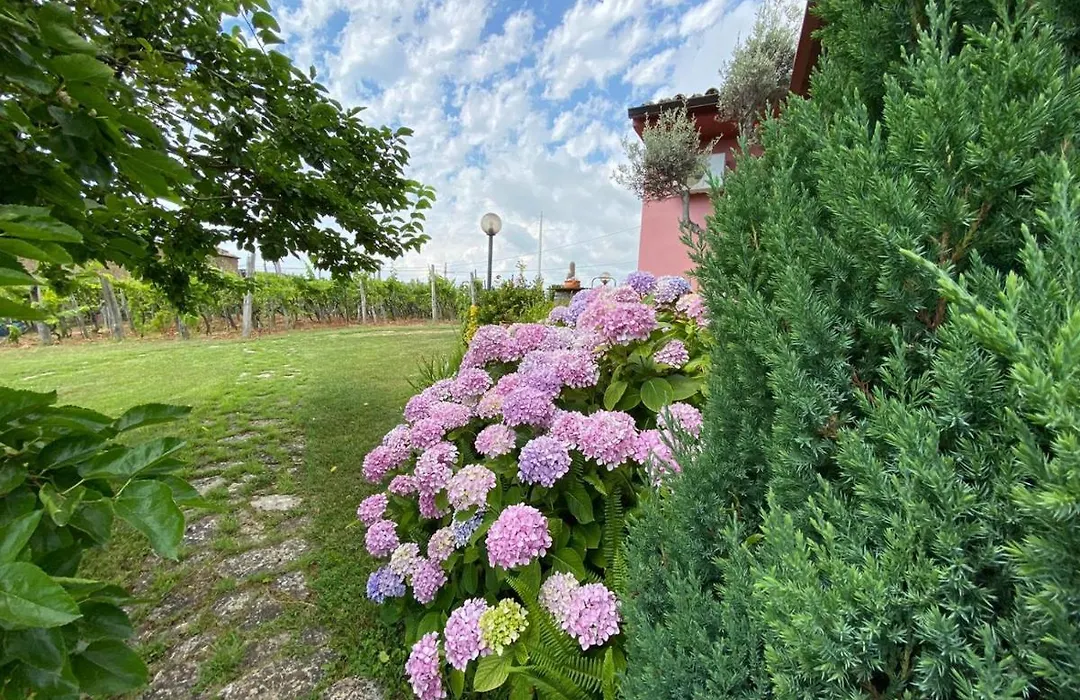 B&B la Sirenetta-1