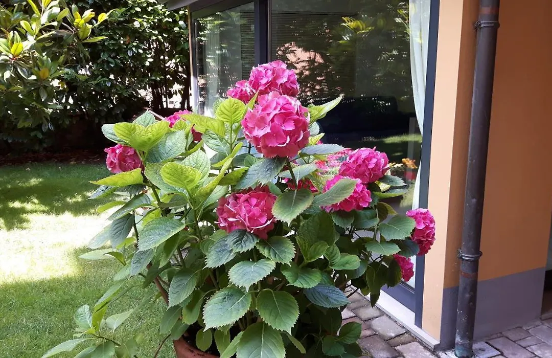 La Magnolia B&B-1