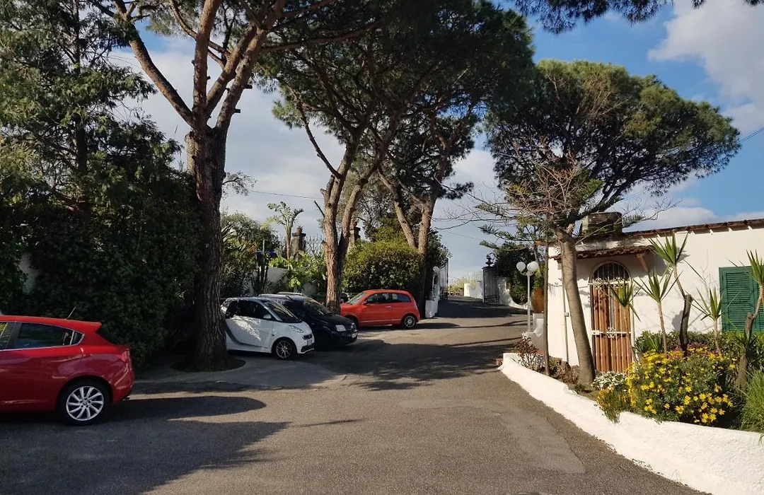 Hotel Park Calitto-1